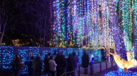 美国休斯敦动物园举办灯光秀