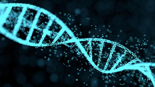 与CRISPR-Cas9基因编辑技术结合 三维类器官可用于探究早期癌症发展