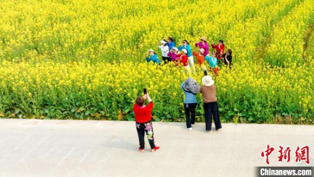 湖南东安“赏花经济”为乡村发展赋能