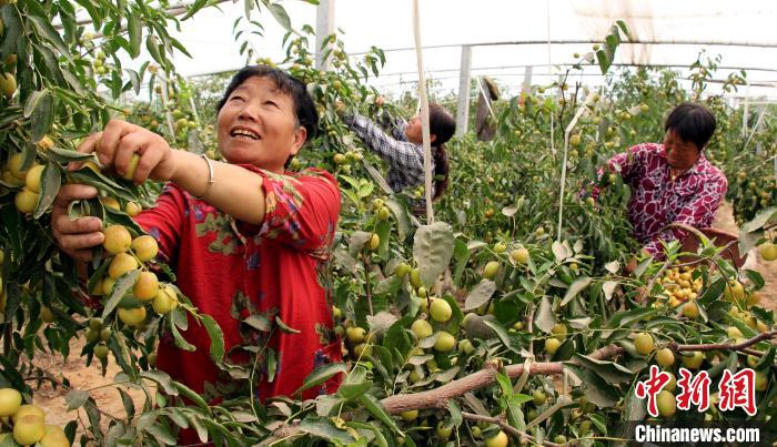 陕西渭南：科技赋能新农人 加速发展农业“新质生产力”
